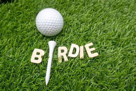 Birdie in Golf Definition: A Feathered Friend on the Fairway