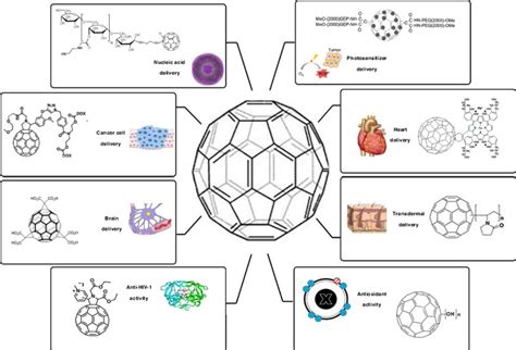  Fullerenes: Applications en Nanotechnologie et Catalyseurs Exceptionnels !