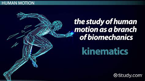 How is Kinesiology Linked to Physical Education: A Dance of Science and Movement