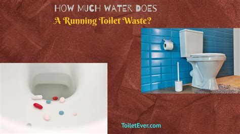 How Many Gallons Does a Running Toilet Use: A Deep Dive into Water Waste and Unrelated Musings