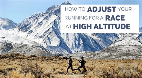 How Much Does Elevation Affect Running Time: A Dive into the Impact of Altitude on Athletic Performance