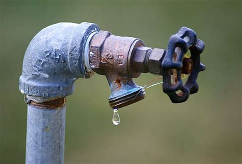 How to Fix Leaking Outdoor Spigot: And Why Your Garden Hose Might Be Plotting Against You