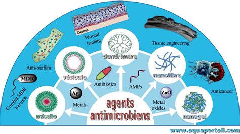 Ionenes : La polymère révolutionnaire pour des applications antimicrobiennes exceptionnelles !