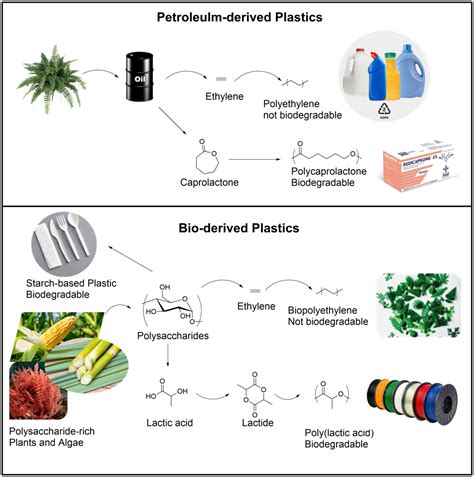  Lactic Acid: Un catalyseur indispensable pour la production de bioplastiques durables ?