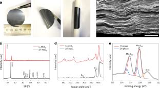  Molybdenum Disulfide: Un miracle des matériaux pour batteries à haute performance et panneaux solaires flexibles !