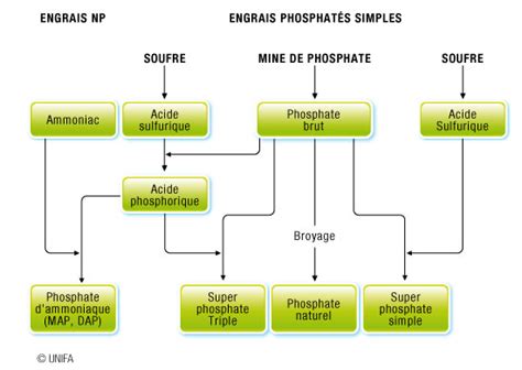 Phosphates: Défis et Opportunités dans la Fabrication de Fertilisants