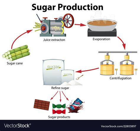  Sucrose En tant Que Matière Première Industrielle: Un Sucre Parfait Pour Vos Processus ?