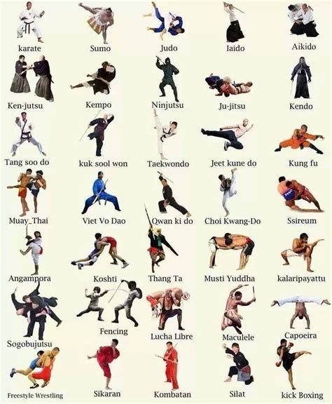 What are the 11 types of martial arts? And why do some of them involve dancing with flaming swords?