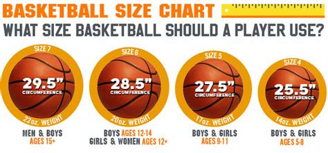 What Size Basketball Should I Get: A Journey Through Hoops and Imagination