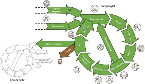 Wool: Un Matière Textile Ancienne et Résistante pour une Économie Circulaire !