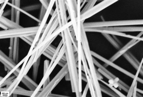  Zinc Oxide Nanowires: Des Catalyseurs Efficaces pour les Batteries à Haute Performance !